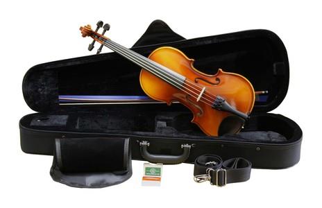 Suzuki Violin model 220-OF 4/4